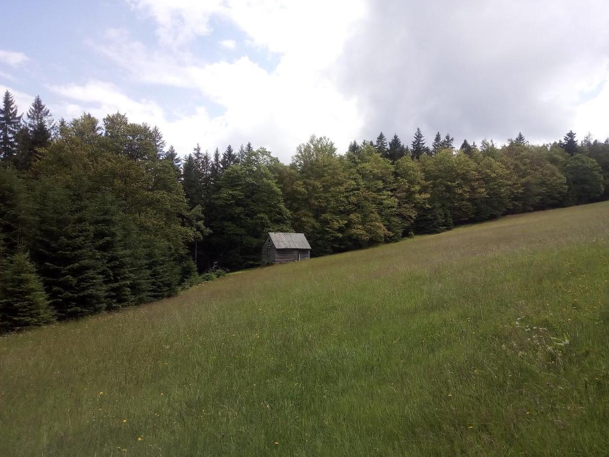 Apartament Alm-House Hollmann Železná Ruda Zewnętrze zdjęcie