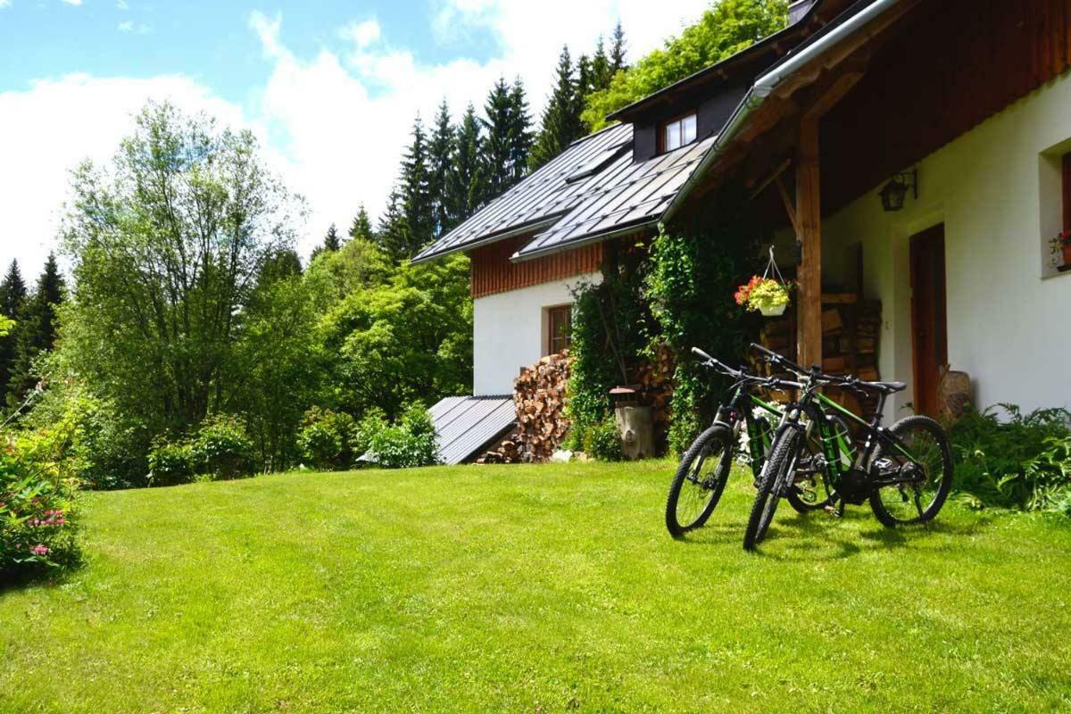 Apartament Alm-House Hollmann Železná Ruda Zewnętrze zdjęcie